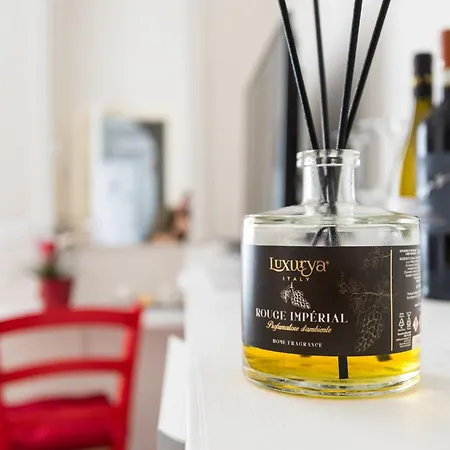 佛罗伦萨康福特住宿加早餐旅馆 4* 佛罗伦萨