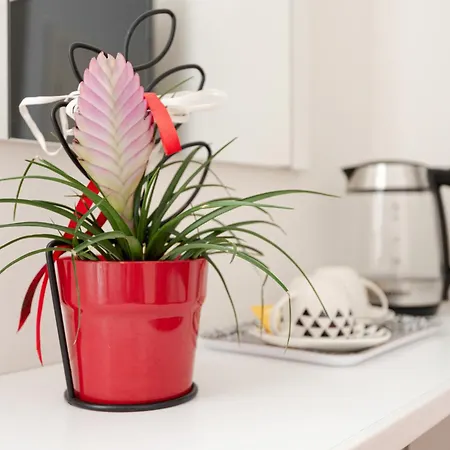 佛罗伦萨康福特住宿加早餐旅馆