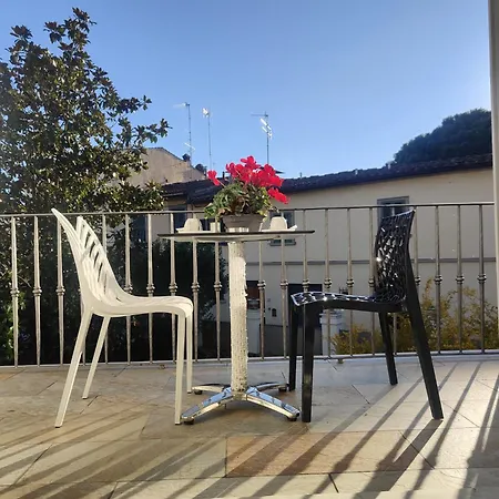 Comfort فلورنس